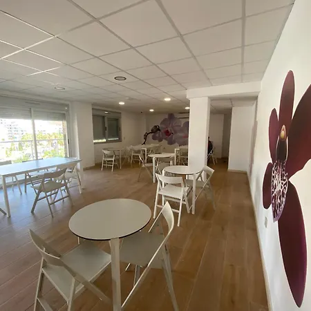 Deluxe Miramar Marina Park * Oropesa del Mar